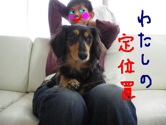 私の定位置.JPG