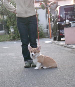 DSCN0948-1.jpg