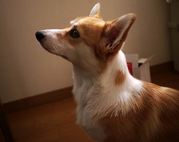 P1000342-1.JPG