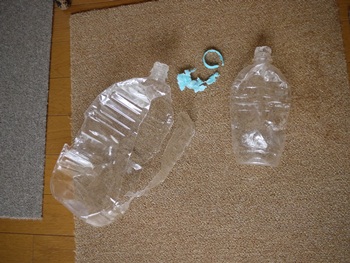 P1000499-1.JPG