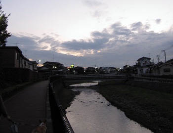 IMG_2258-1.JPG