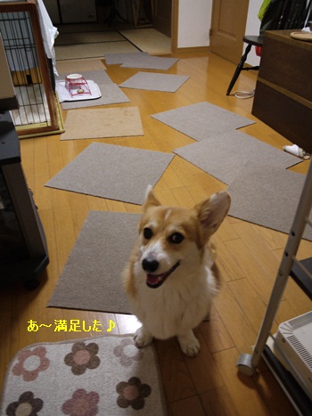 P1000568-1.JPG
