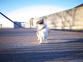 P1000848-1.jpg
