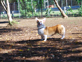 P1000641-1.jpg