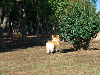 P1000649-1.jpg