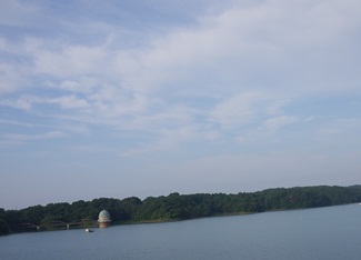 P1000328-1.JPG