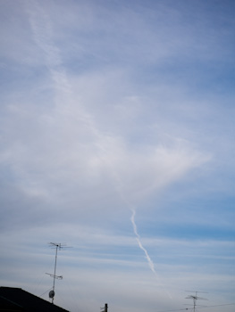 _1010163-1.jpg