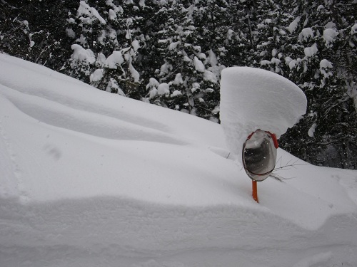 豪雪