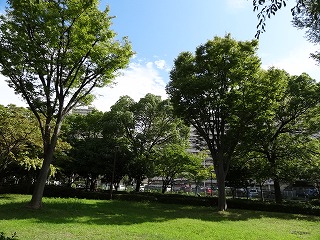 サイバーショットDSC-HX7Vで公園を撮影