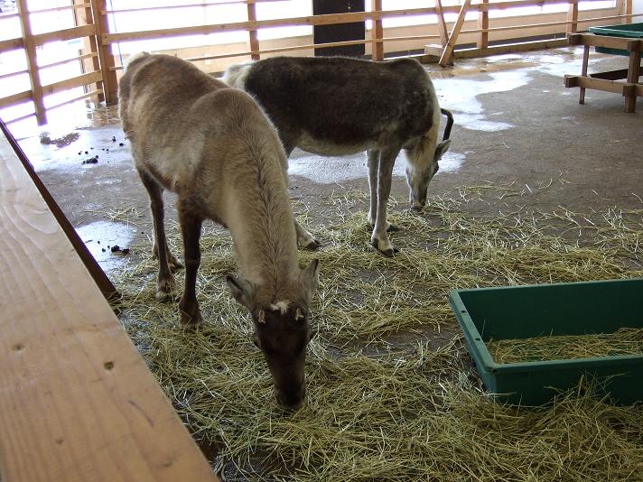 ツーリング_白馬_2