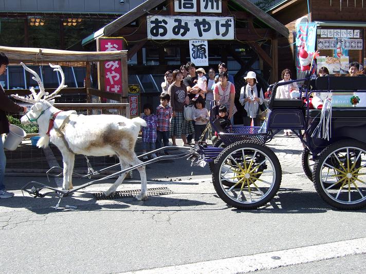 ツーリング_白馬_6