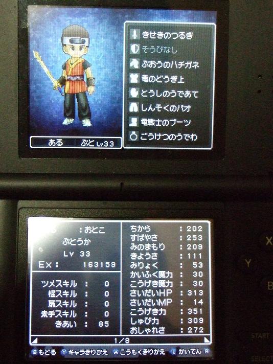 ドラクエ9_ある(主人公)