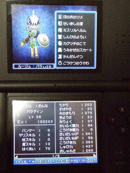 ドラクエ9_ルージュ