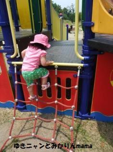 DSCF9497.JPG