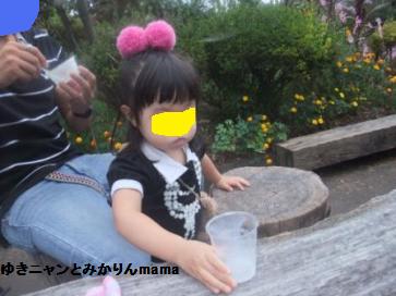 DSCF1629.JPG