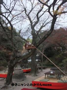 DSCF2207.JPG