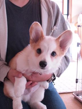 2010_1103画像0214.JPG