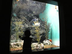 水族館