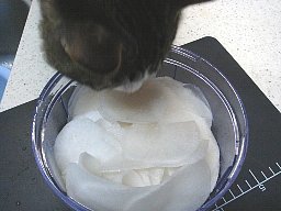 いたずらっ子5