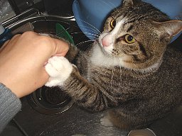 オイタ中3