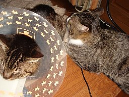 DSC05984.JPG
