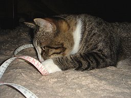 DSC06621.JPG