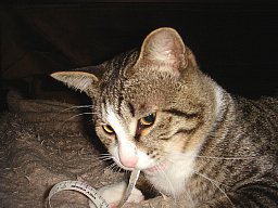 DSC06624.JPG