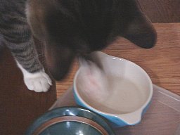 食事3