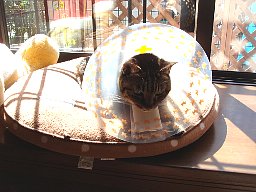 DSC06712.JPG