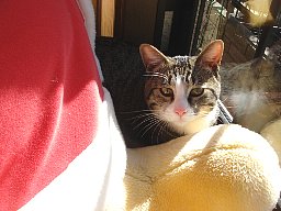 プーさんの足3