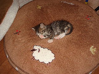 DSC04748.JPG