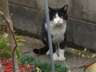 DSC06515.JPG