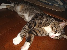 DSC06824.JPG