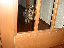 ただいま1