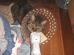 DSC06318.JPG
