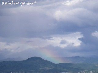 IMGP3318.jpg