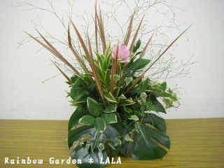 IMGP4923.jpg