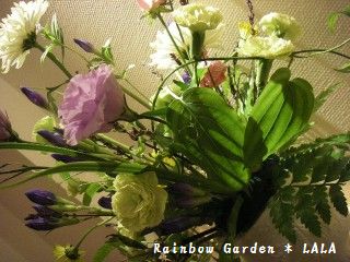 IMGP4795.jpg