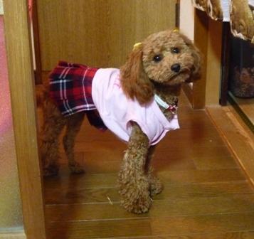 ノア笑顔 002.jpg