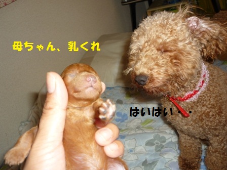 022.JPG