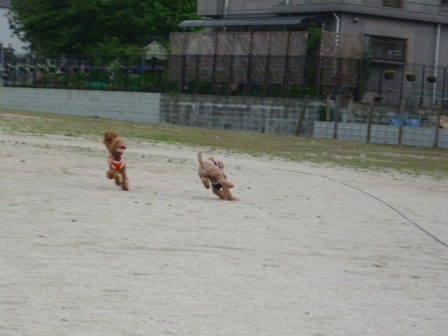 久々の・・ 003.jpg