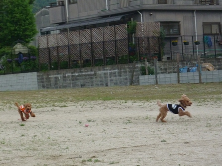 久々の・・ 005.jpg