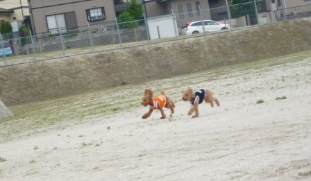 久々の・・ 006.jpg