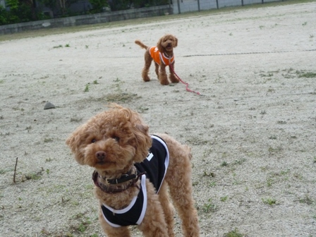 久々の・・ 009.jpg