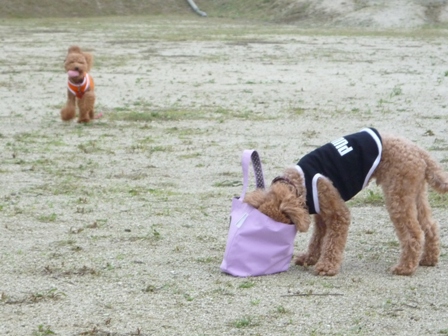 久々の・・ 013.jpg