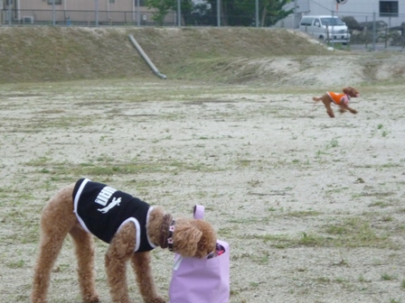 久々の・・ 014.jpg