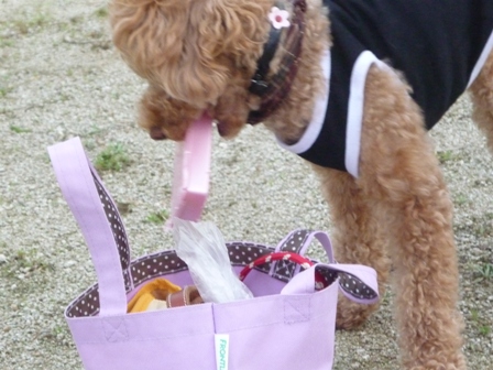 久々の・・ 015.jpg