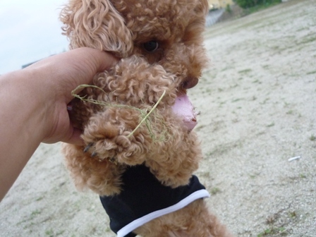 久々の・・ 030.jpg