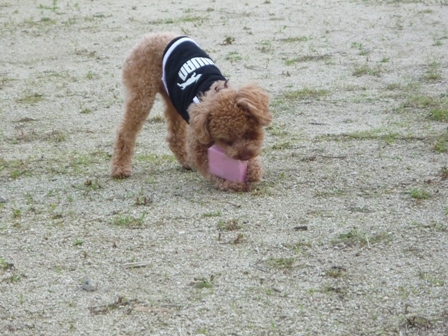 久々の・・ 022.jpg