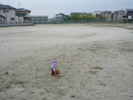 久々の・・ 024.jpg